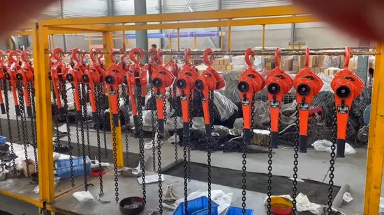 레버 블록 풀리 호이스트 리프트 수동 호이스트 Vital 0.75톤 3.2톤 6.3톤 레버 블록