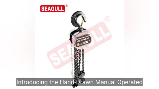 Seagull 5톤 원형 수동 리프팅 핸드 체인 호이스트 체인 풀리 블록