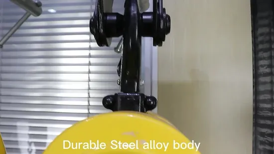 2ton Round Type Chain Pulley Block 