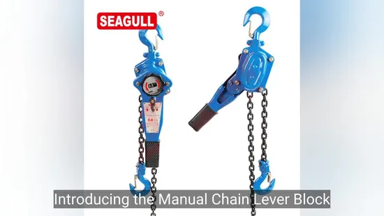 리프팅 장비 핸드 체인 호이스트 수동 레버 풀리 블록